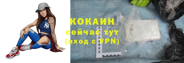 ешки Арсеньев