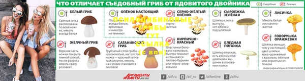 ешки Арсеньев