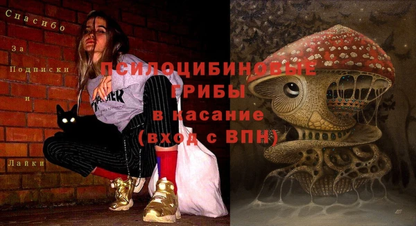 гашик Армянск