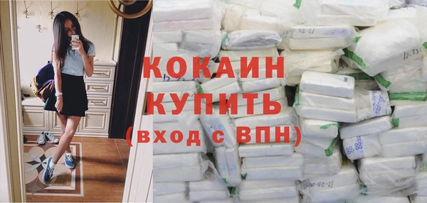 ешки Арсеньев