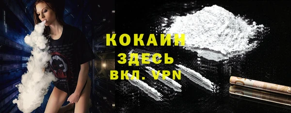 ешки Арсеньев