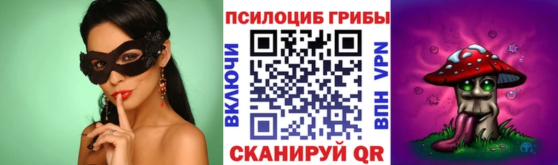 Псилоцибиновые грибы Psilocybine cubensis  где купить наркоту  Рославль 